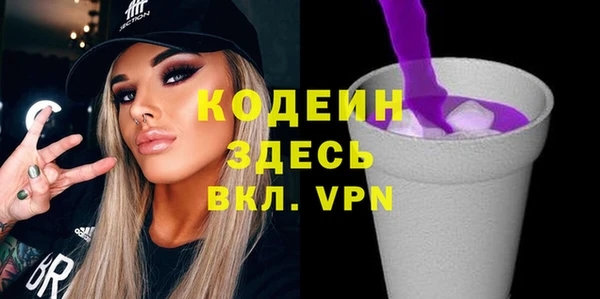 мдпв Краснослободск