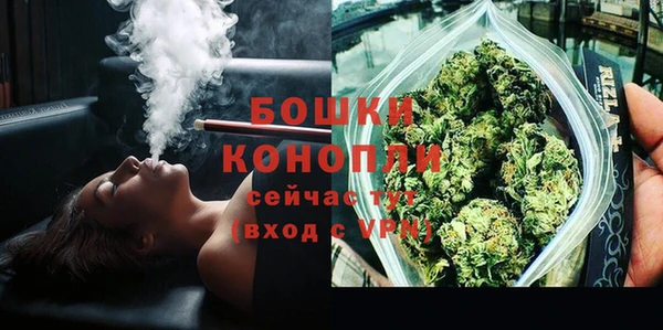 мдпв Краснослободск