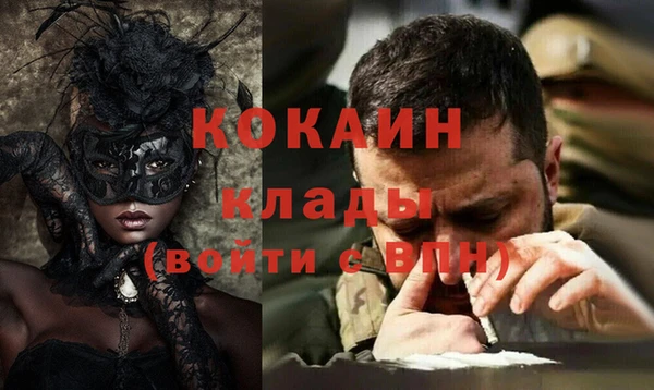 мдпв Краснослободск