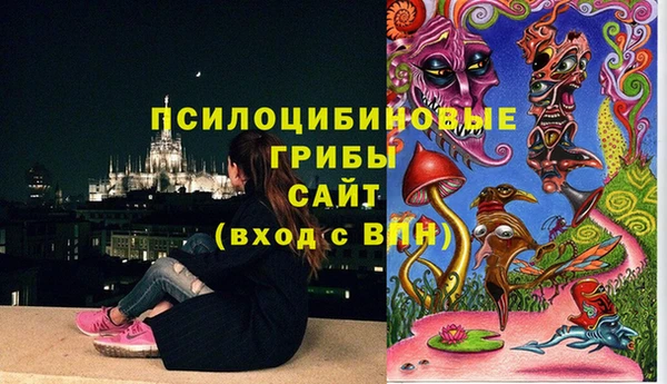 мдпв Краснослободск