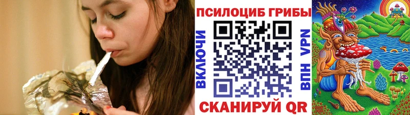 Псилоцибиновые грибы Psilocybine cubensis Красный Кут